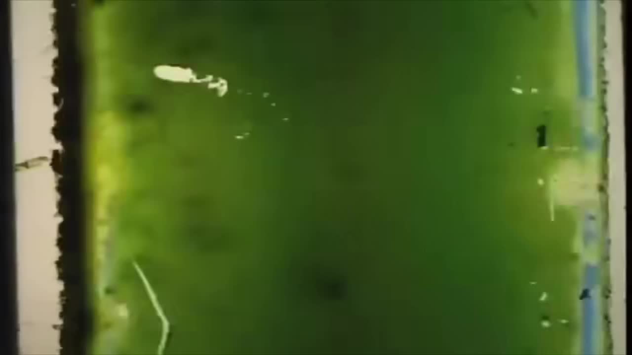 CECA Trepni (Official) 2016 thumbnail